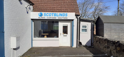 Local Showroom